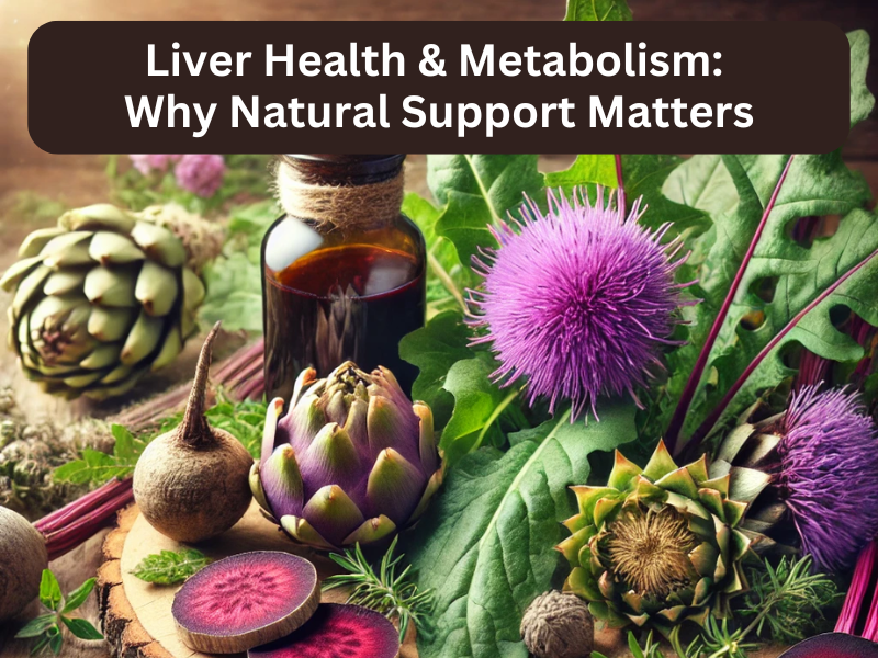 Liver Health & Metabolism: Why Natural Support Matters