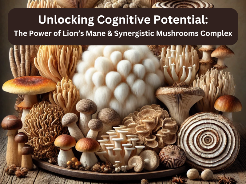 Unlocking Cognitive Potential: The Power of Lion’s Mane & Synergistic Mushrooms Complex