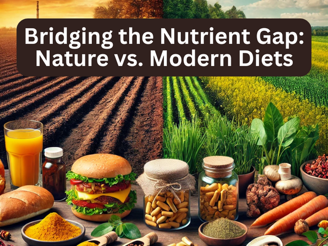 The Modern Nutrient Gap: How Organic Herbs & Supplements Can Help