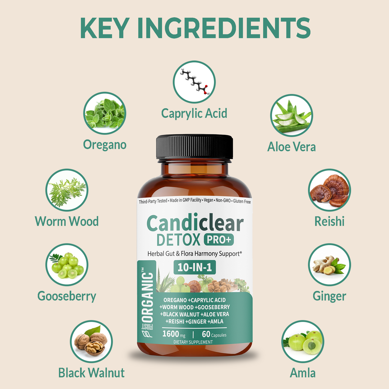Candiclear Detox Pro+ | Herbal Gut & Candida Cleanse Support | Oregano, Caprylic Acid, Anise, Black Walnut, Reishi, Aloe | Third-Party Tested, GMP Facility, Vegan, Non-GMO, Gluten-Free | 60 Caps