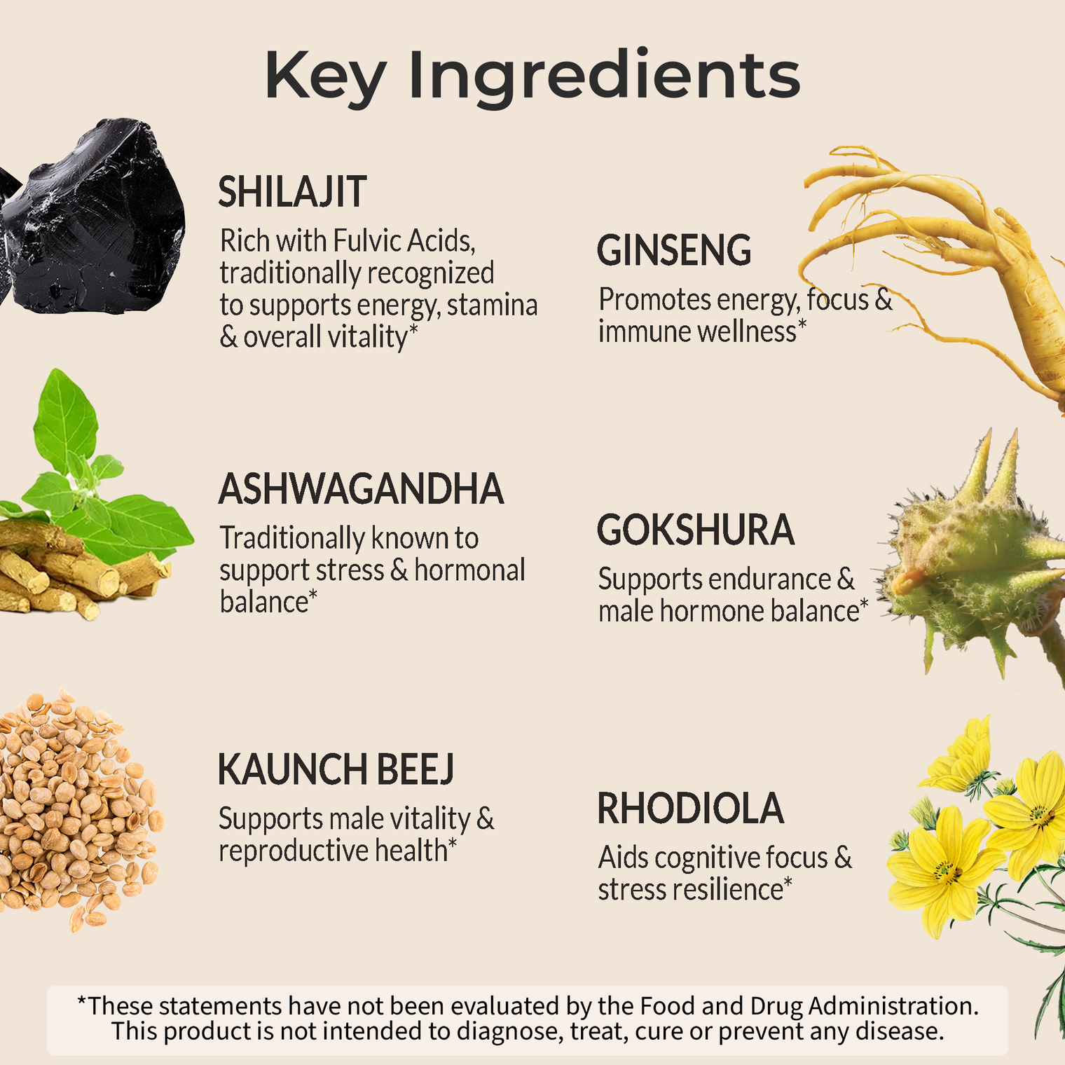 Himalayan Shilajit+ Complex 1600mg | Vitality & Performance | 9-in-1 Synergy with Ashwagandha, Tongkat Ali, Ginseng & more for Strength & Endurance