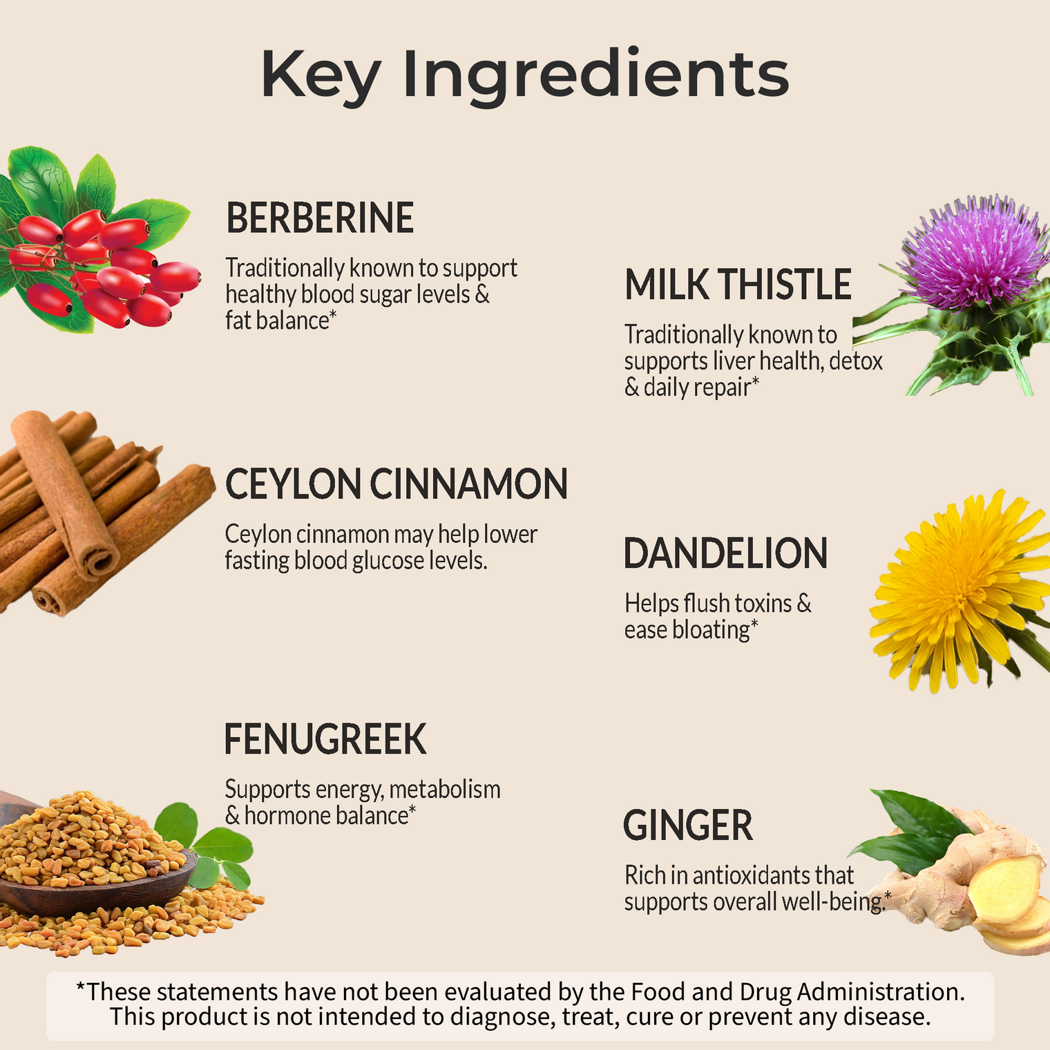 Berberine HCL+ Complex 1600mg | Glucose & Metabolic Balance | 16-in-1 Synergy with Milk Thistle, Cinnamon, Dandelion, Fenugreek & more for Gut & Liver Health