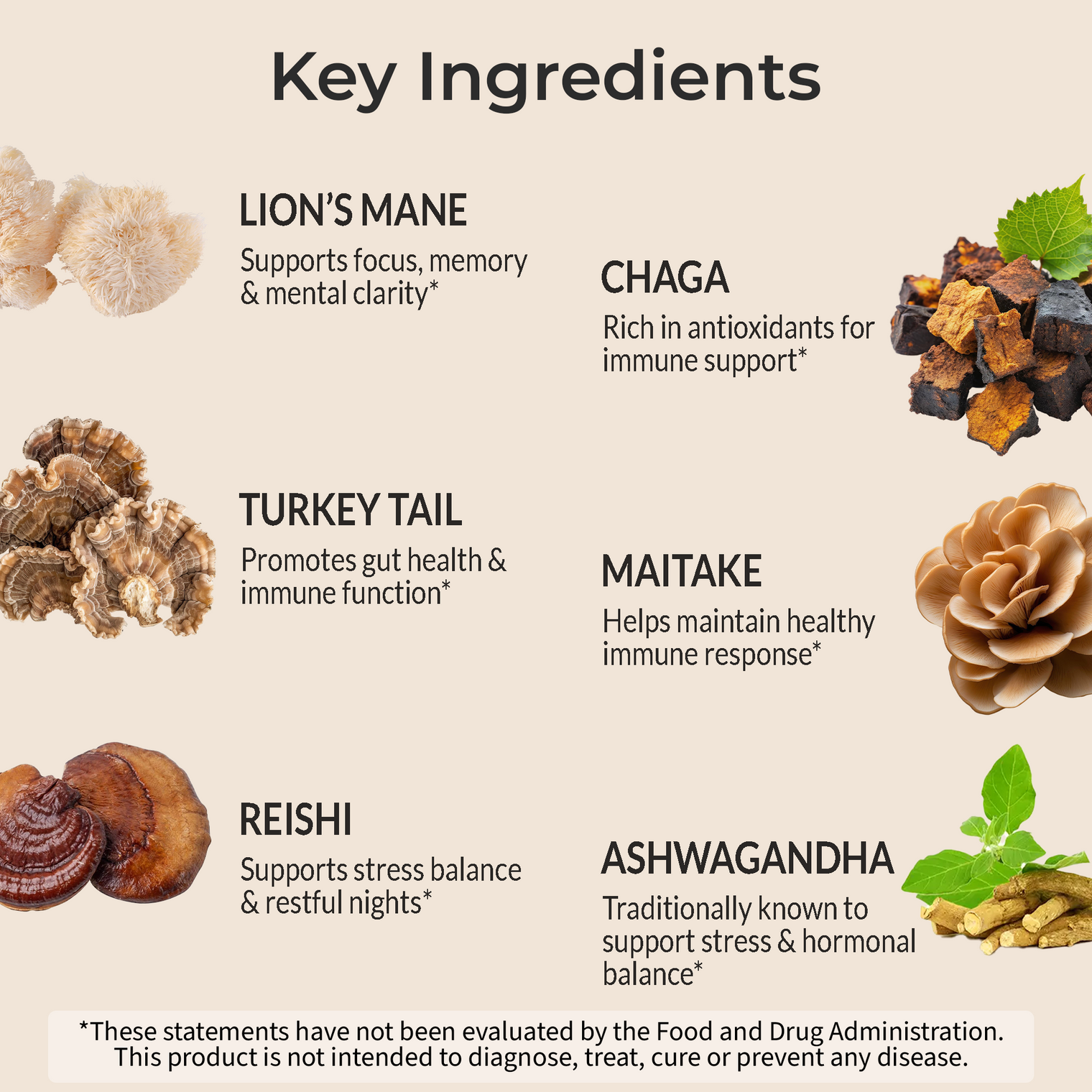 Lion’s Mane Mushroom Complex 1600mg | Cognitive & Immune Support | 17-in-1 Synergy with Reishi, Cordyceps, Chaga & more for Focus & Mental Clarity