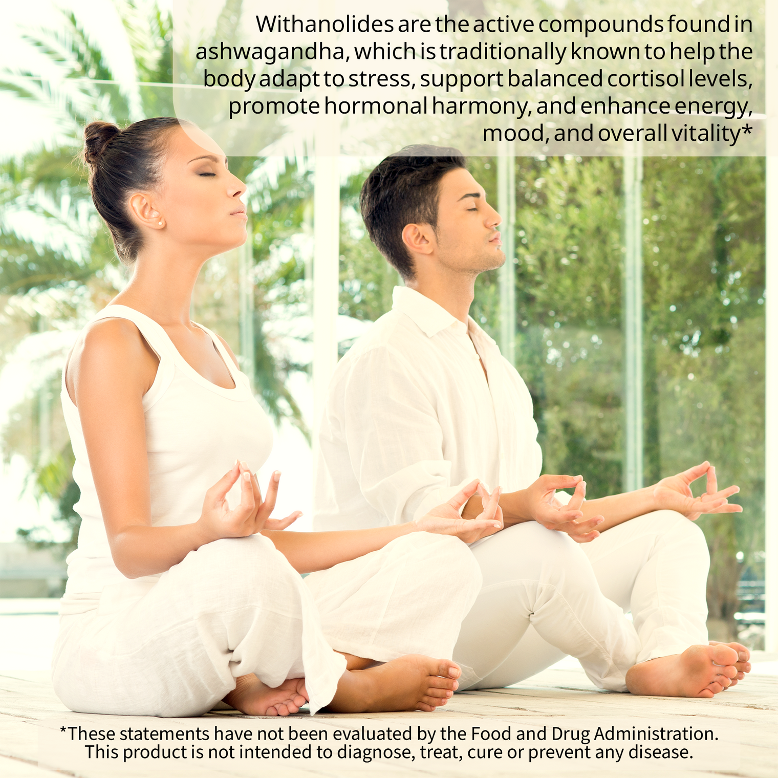 Ashwagandha+ Complex 1405mg | Energy & Stamina Boost | 9-in-1 Synergy with Maca Root, Tribulus, Ginseng & more for Strength & Endurance Support