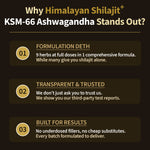 Shilajit+