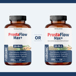 ProstaFlow Max+
