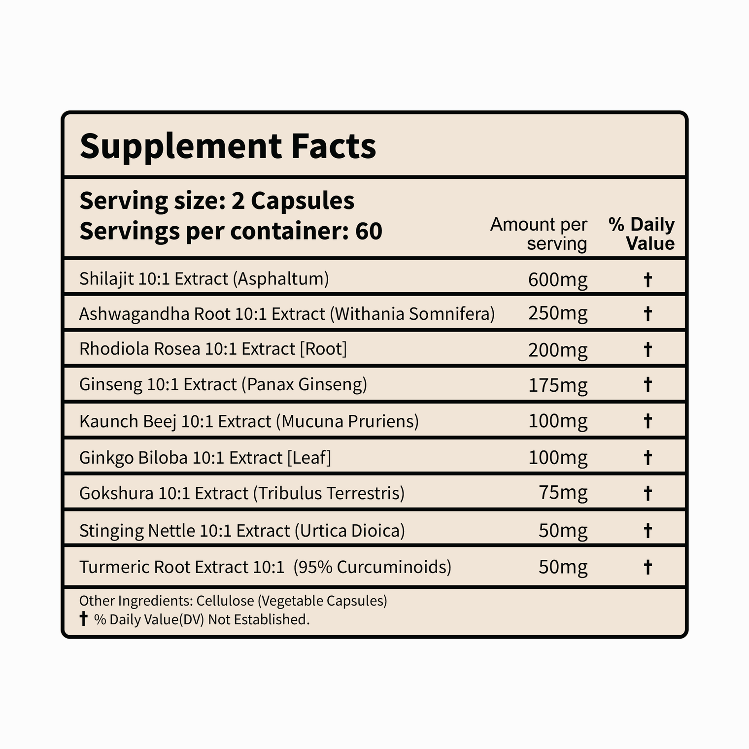 Himalayan Shilajit+ Complex 1600mg | Vitality & Performance | 9-in-1 Synergy with Ashwagandha, Tongkat Ali, Ginseng & more for Strength & Endurance