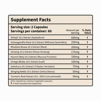 Himalayan Shilajit+ Complex 1600mg | Vitality & Performance | 9-in-1 Synergy with Ashwagandha, Tongkat Ali, Ginseng & more for Strength & Endurance
